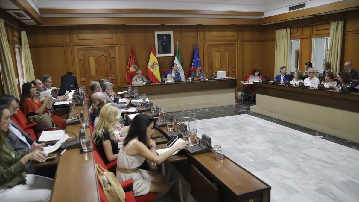 Plenario del Ayuntamiento de Córdoba.