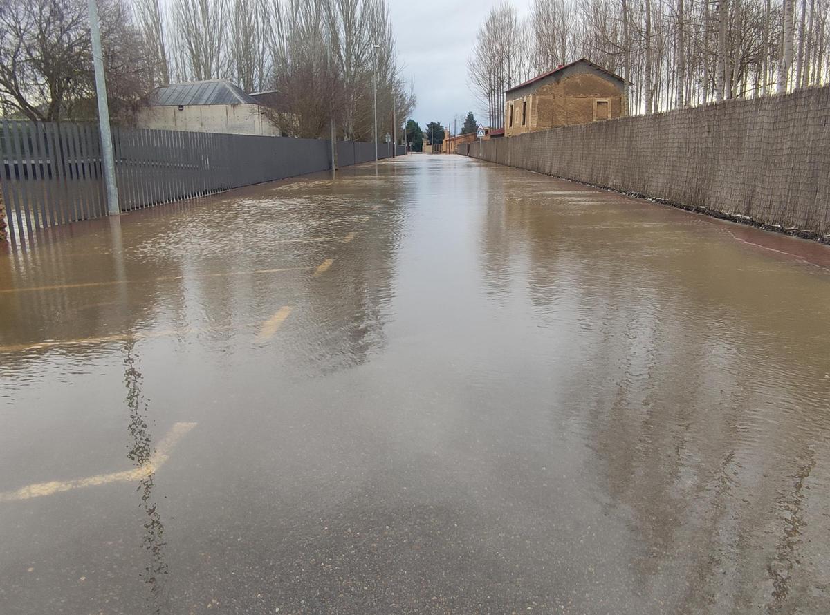 GALERÍA / El río Órbigo desbordado en Benavente, en imágenes GALERÍA / El río Órbigo desbordado en Benavente, en imágenes