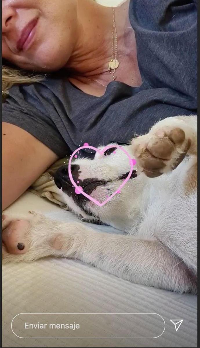 Sandra Barneda se reencuentra con su perrito tras rodar 'LIDLT'