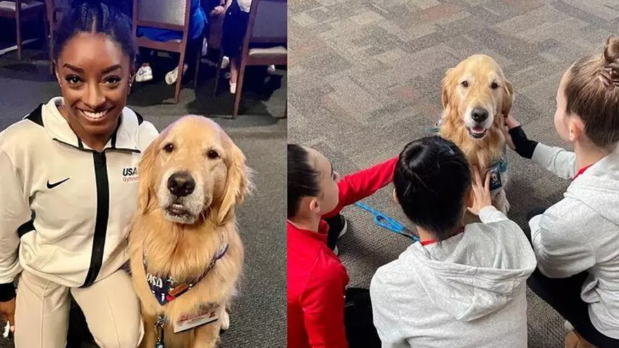 Beacon: el perro terapeuta de las atletas estadounidenses en los JJOO