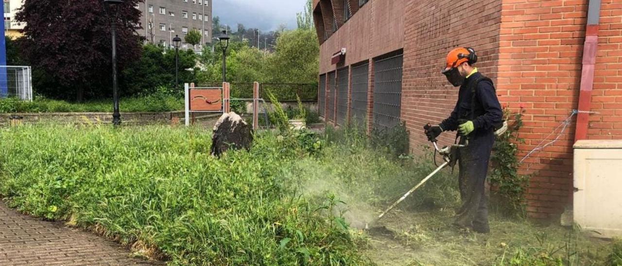 Un trabajador del Ayuntamiento de Aller haciendo labores de desbroce en Moreda. | LNE