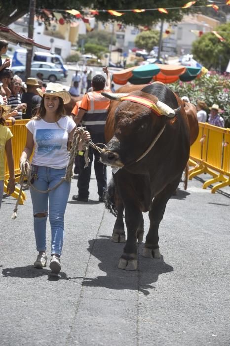 ENTREGA PREMIOS FERIA DE GANADO Y PROCESION ...