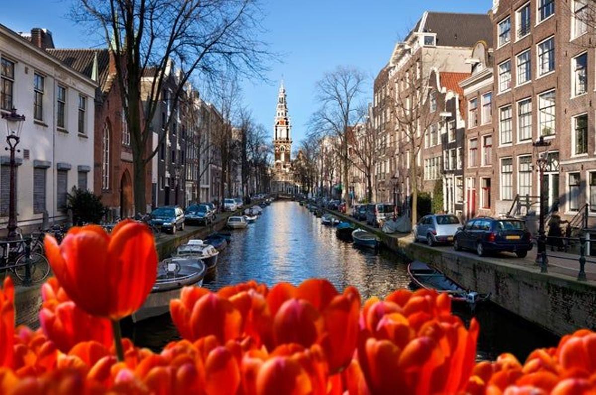 Entre tulipanes en Ámsterdam (Holanda)