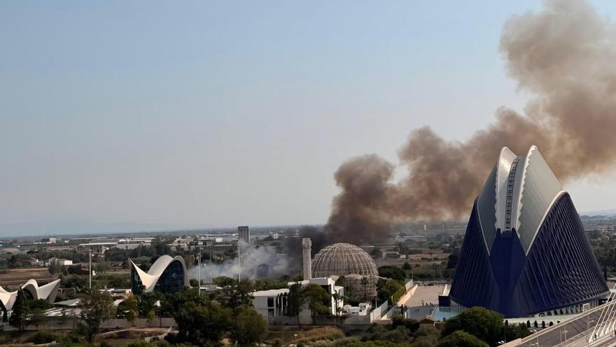 Un aparatoso incendio junto al Oceanogràfic y la autovía del Saler obliga a cortar el tráfico de entrada y salida a la ciudad