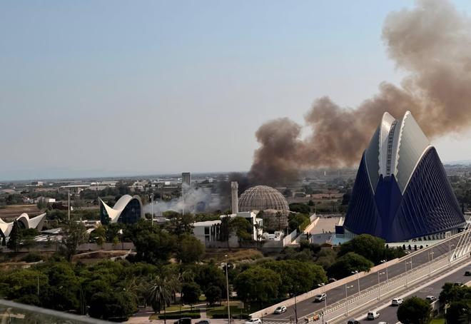 Un aparatoso incendio junto al Oceanogràfic y la autovía del Saler obliga a cortar el tráfico de entrada y salida a la ciudad