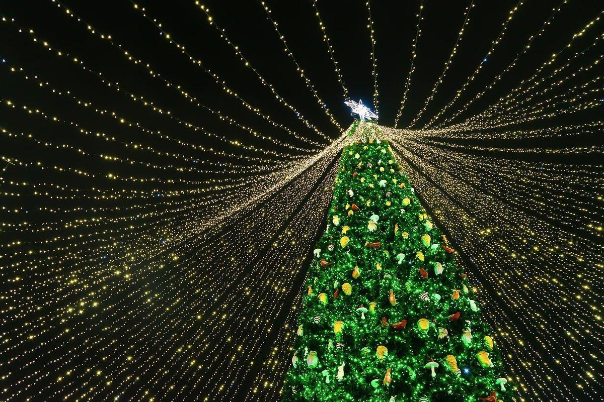 Kiev, Ucrania, arbol de navidad