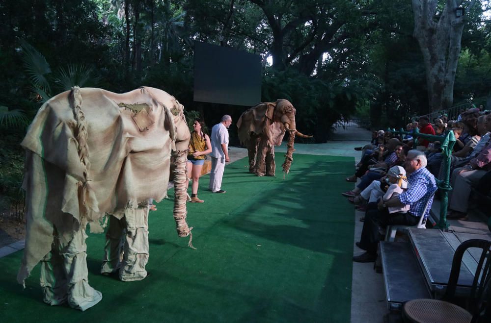 El musical malagueño 'Hara, el espíritu de la selva' volvió a Málaga en el inicio de su gira por otros jardines botánicos del país