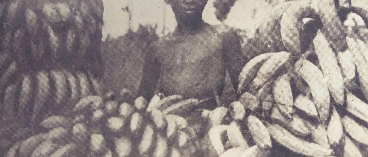Representación alegórica del cultivo de plátano en la Guinea española reproducida por el ‘Manual del agricultor en Fernando Poo’ (1928), de Joaquín Rodríguez Barrera.  | | LA PROVINCIA/DLP