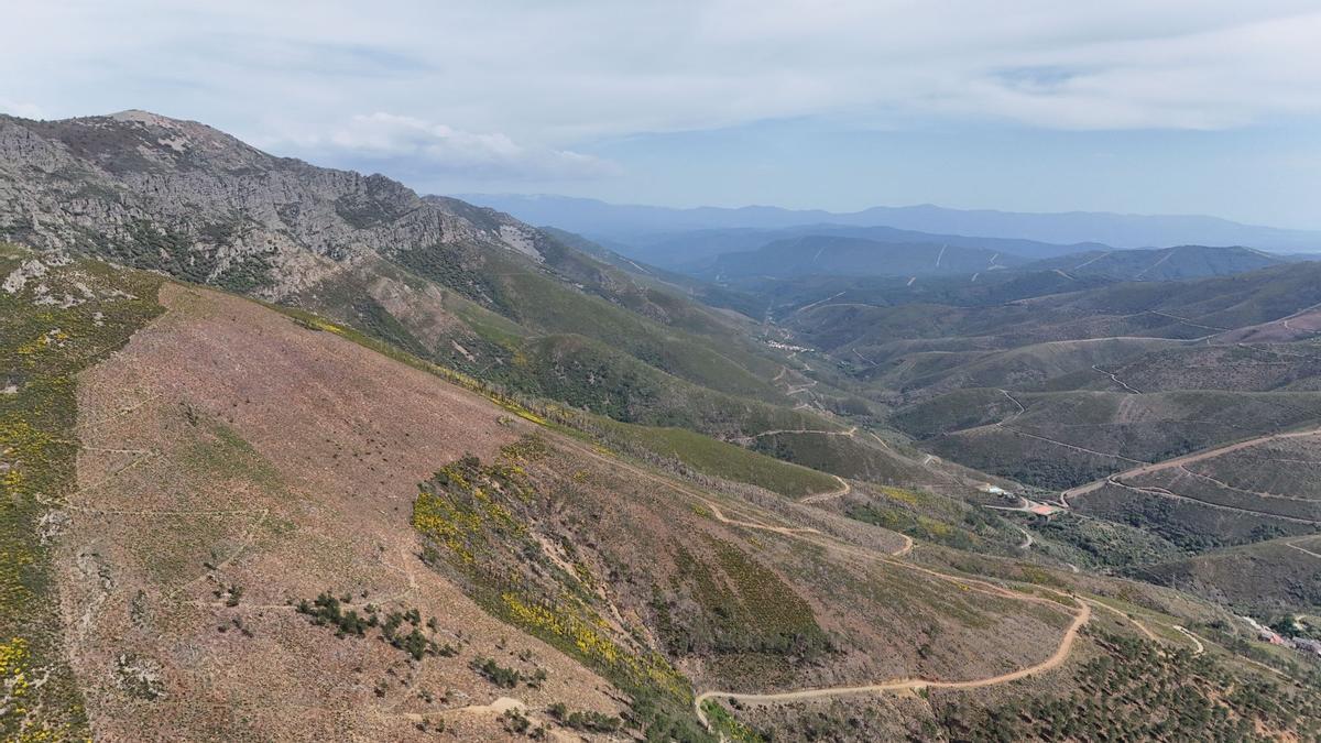 Zona de monte restaurada.