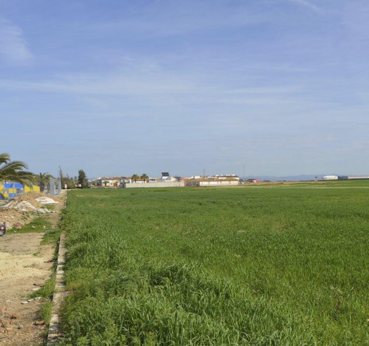 Terreno en donde iría ubicada la futura ciudad deportiva. | E. GUZMÁN