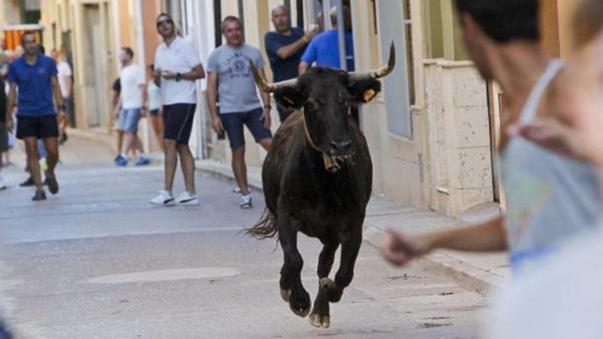 Uno de los actos festivos en Albalat.