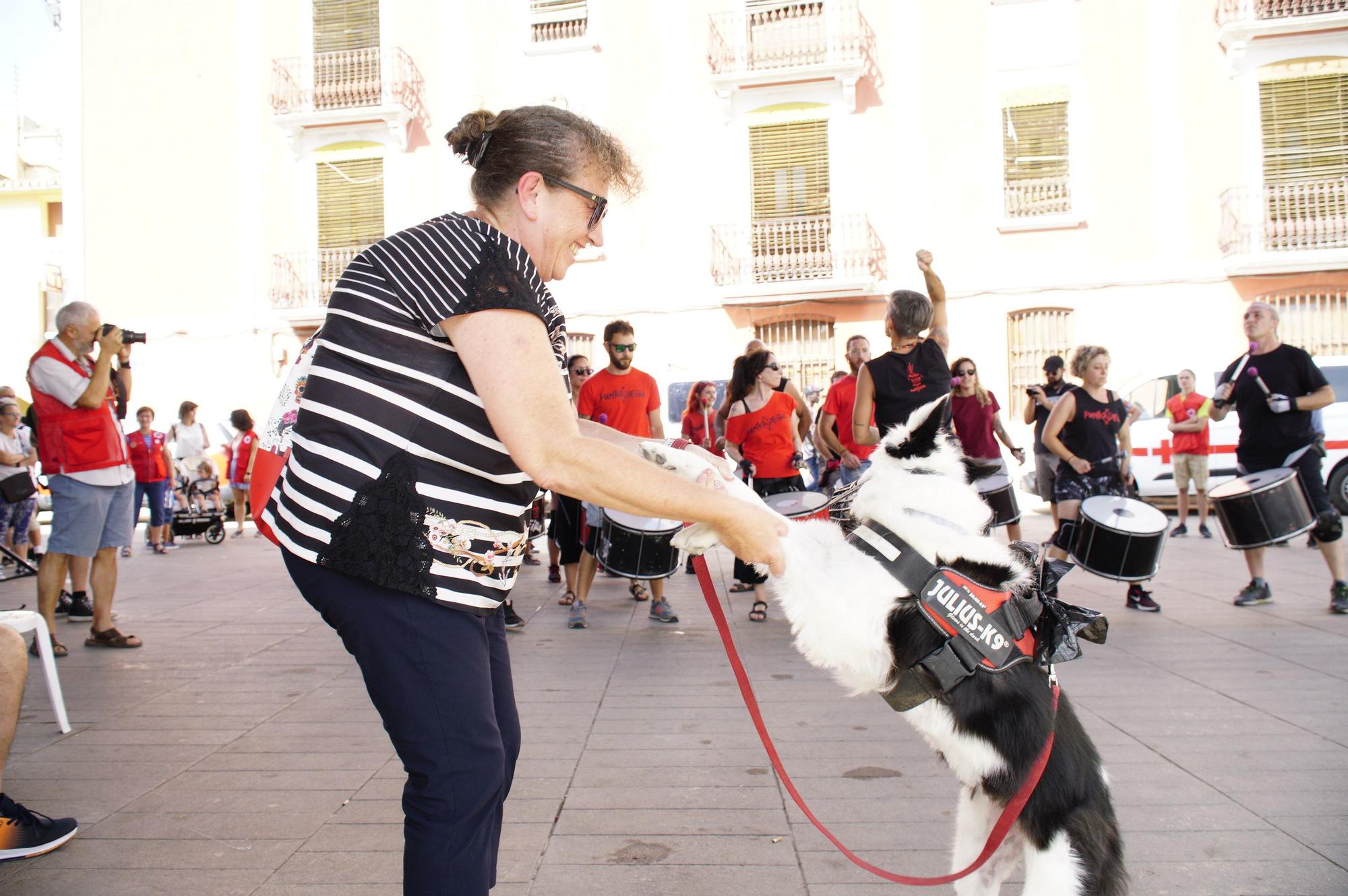 Fotos del primer Refugi-Fest de Vila-real