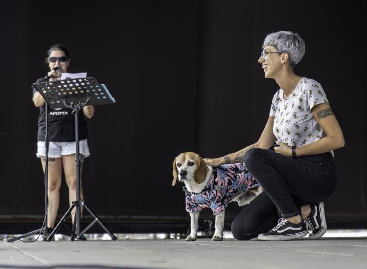 El desfile de uno de los perros en adopción, ayer en Moaña. | //J.TENIENTE