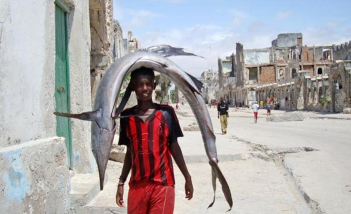 Un noi somali transporta al cap un peix de l’oceà Índic al mercat de Hamarwyene, al sud de Mogadiscio.