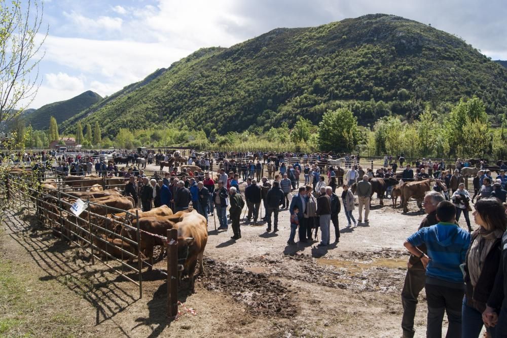 Celebración de La Ascensión en Olloniego