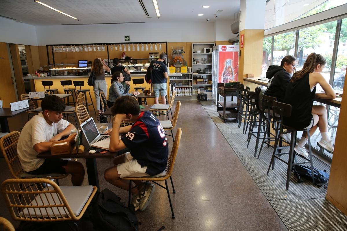 Estudiantes de bachillerato que están estudiando la selectividad