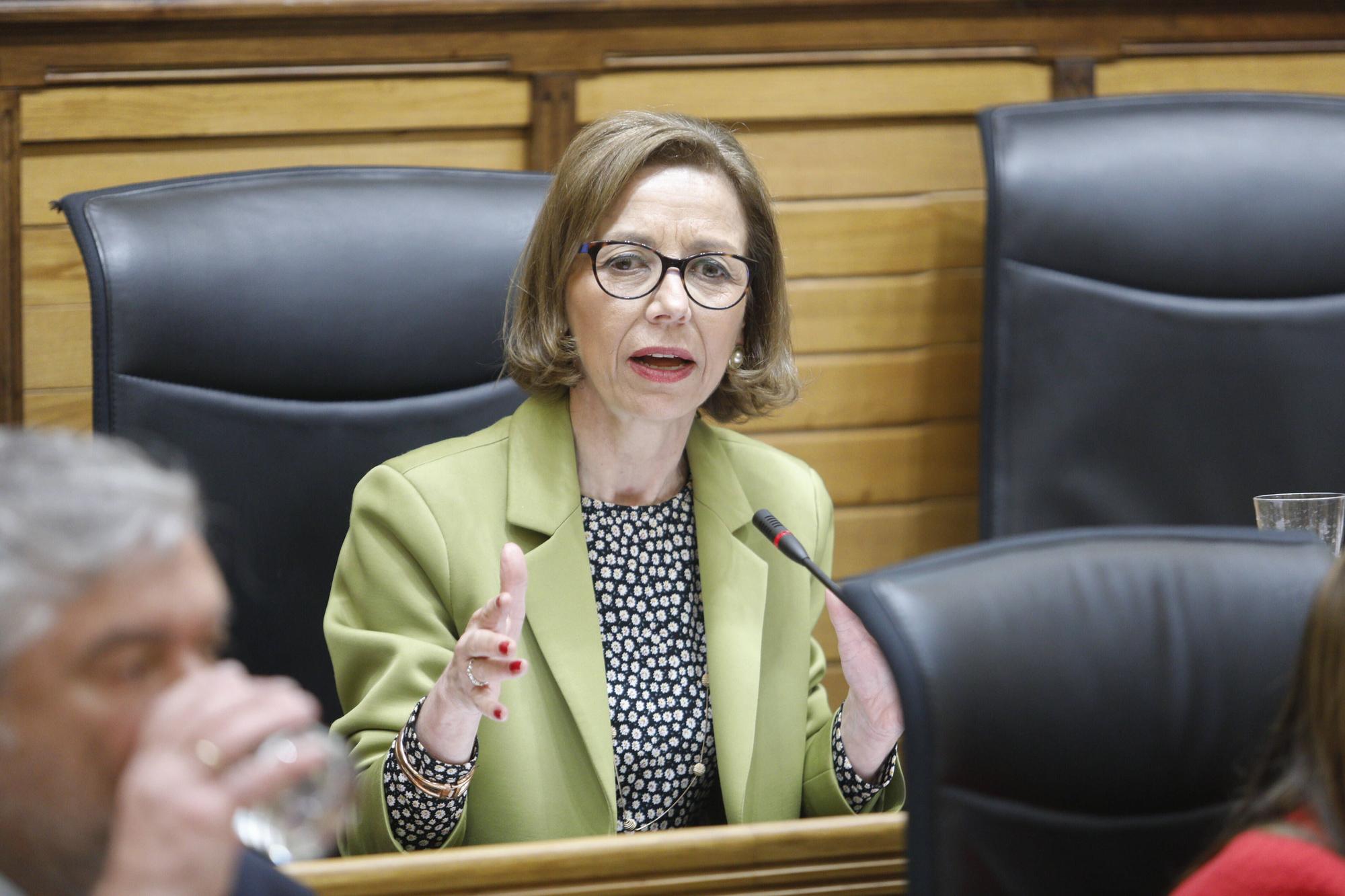 En imágenes: Último Pleno de este mandato en Gijón para aprobar el Plan de Movilidad