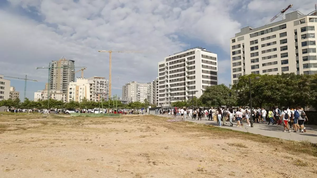 Natzaret marxa per una desembocadura del Túria sense contaminació