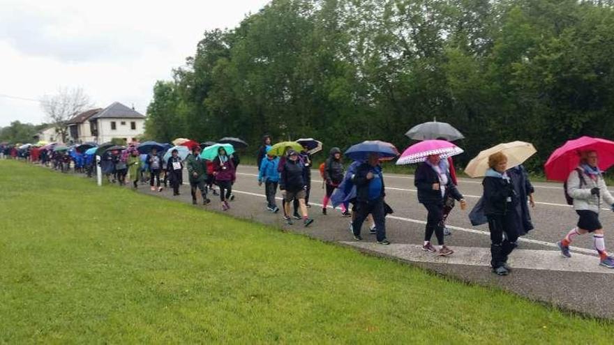 Los peregrinos, camino de Nava, protegiéndose de la lluvia con sus paraguas.