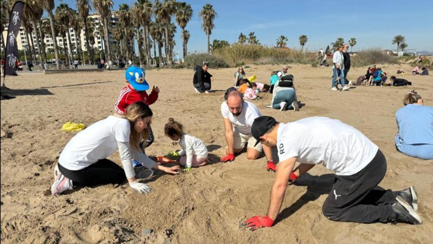 Más de 300 voluntarios recogen plásticos de la playa de la Patacona