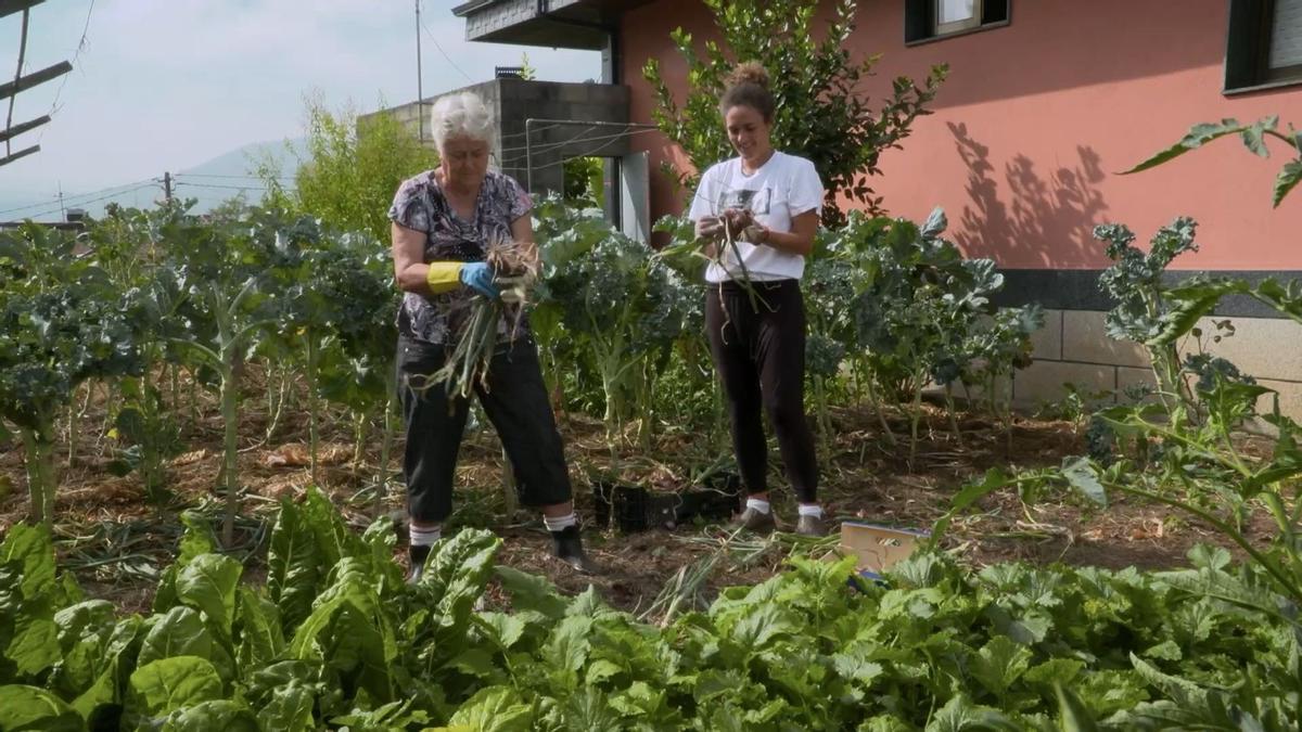 Páramo, na horta da casa.