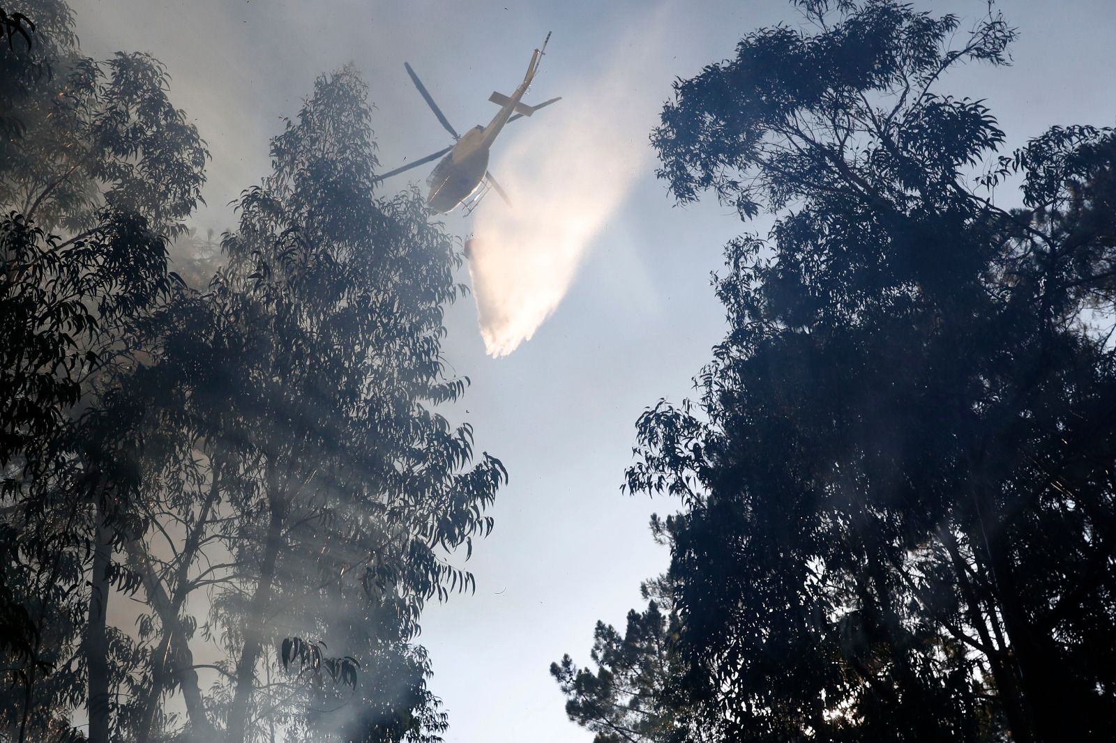 Arbo y Verín, en alerta por incendio