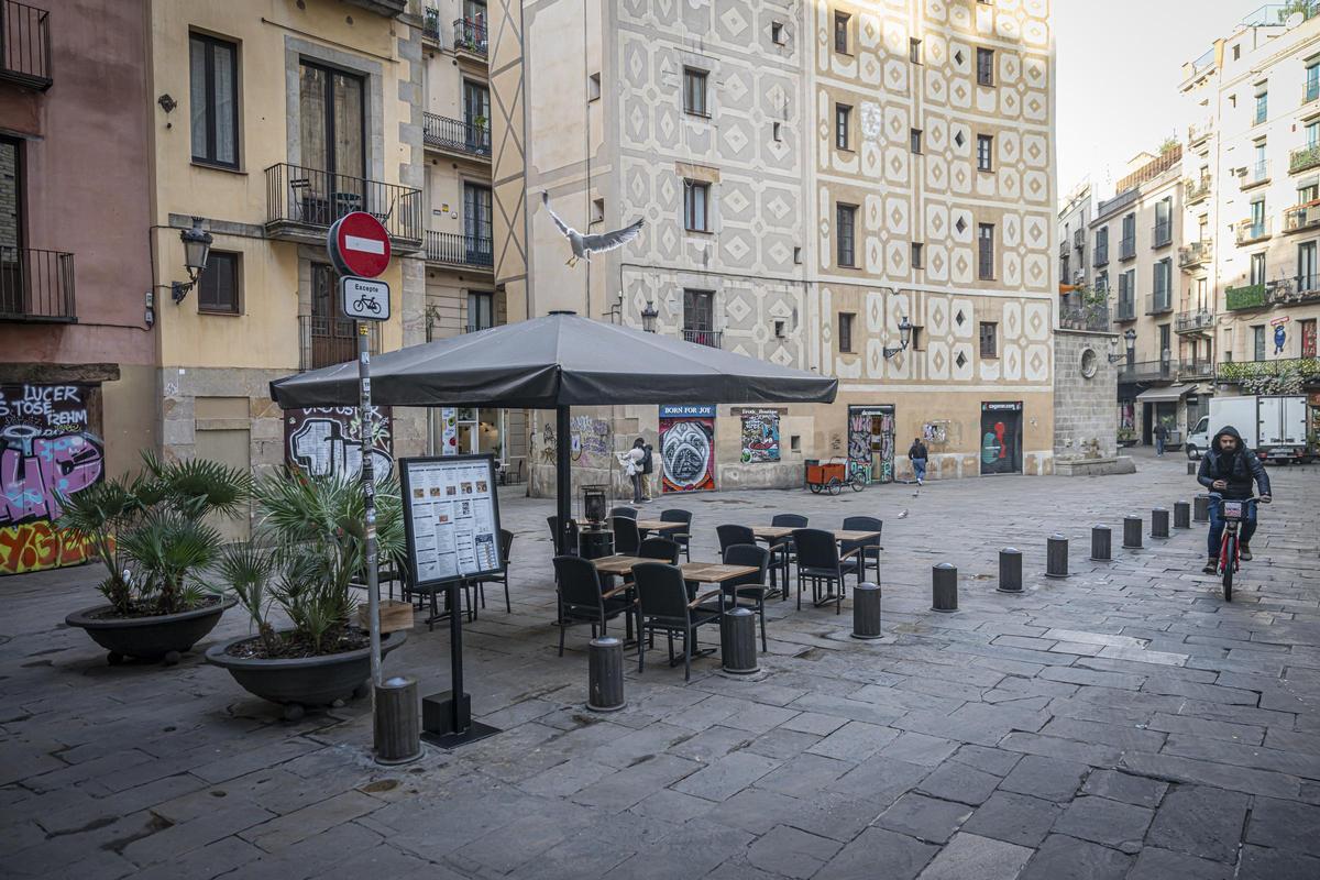 La purga de les terrasses, sota la lupa