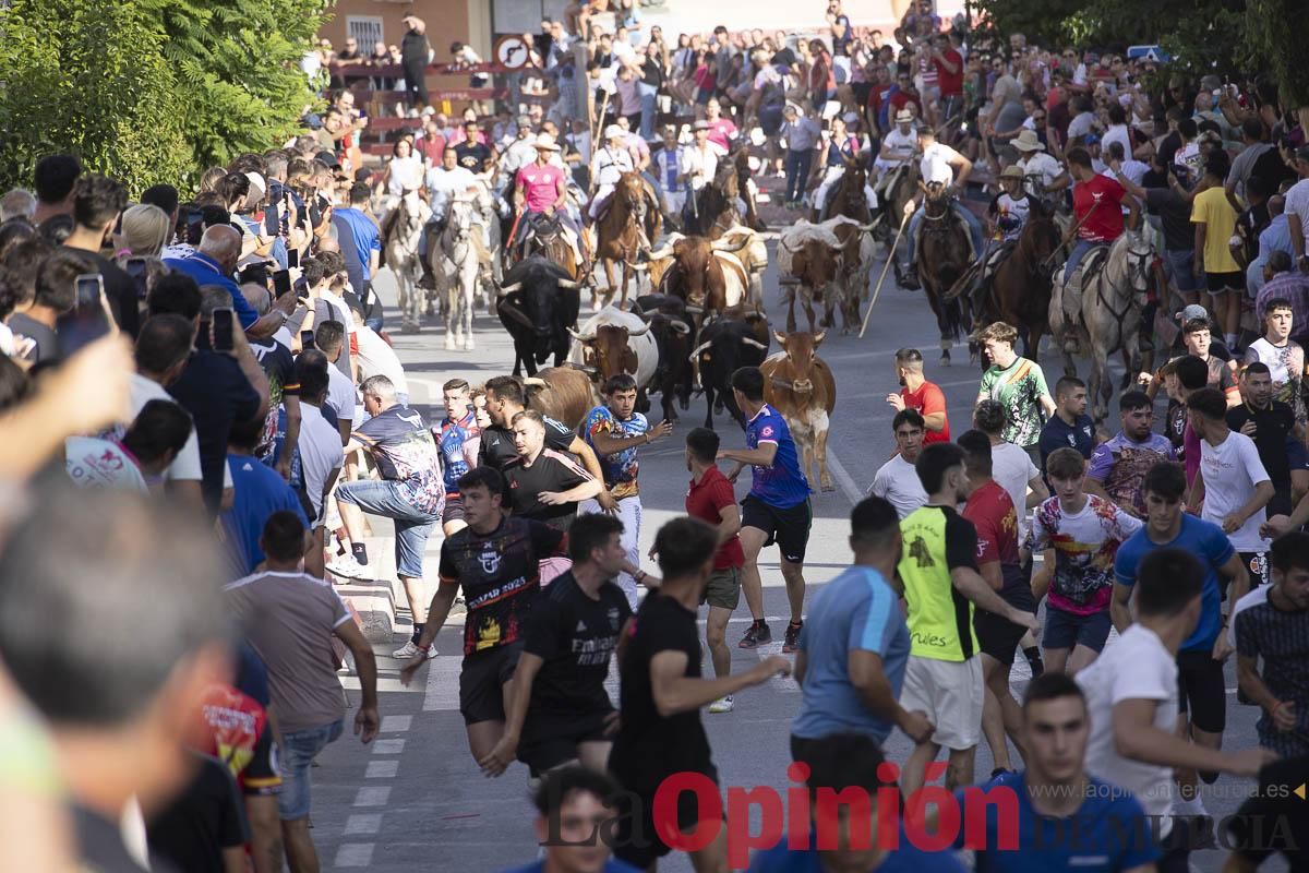 Quinto encierro de las Fiestas de Moratalla