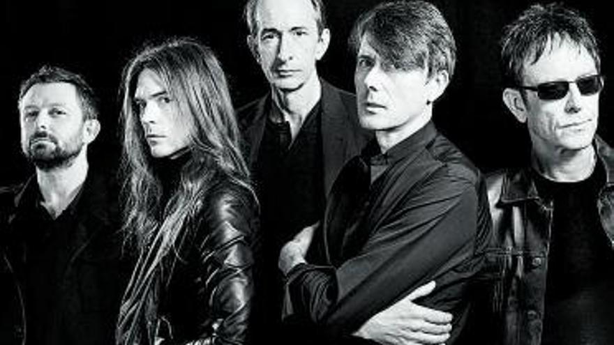 La furia adulta de Suede