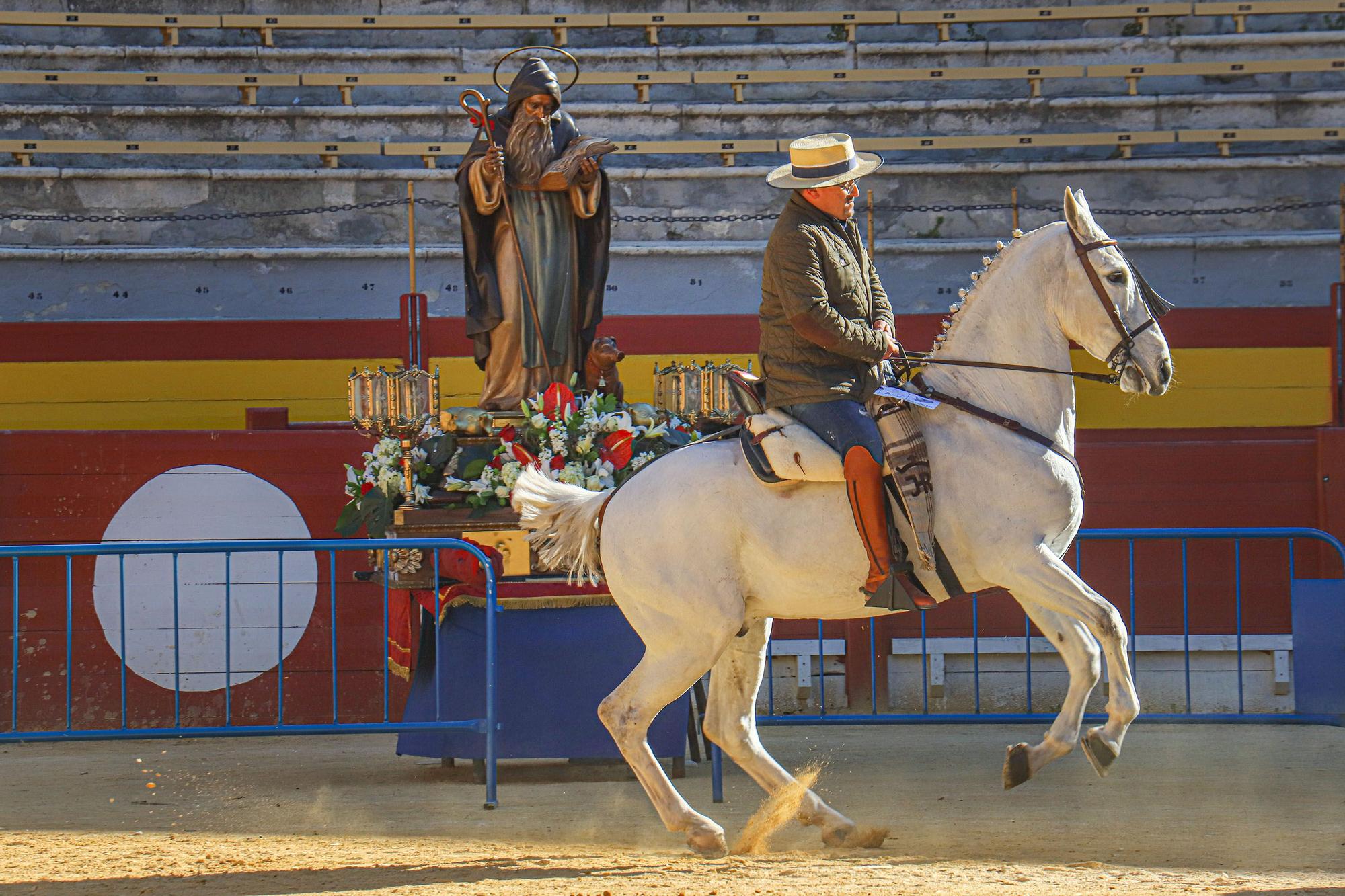 Concurso ecuestre y Bendición de animales por San Antón en Alicante