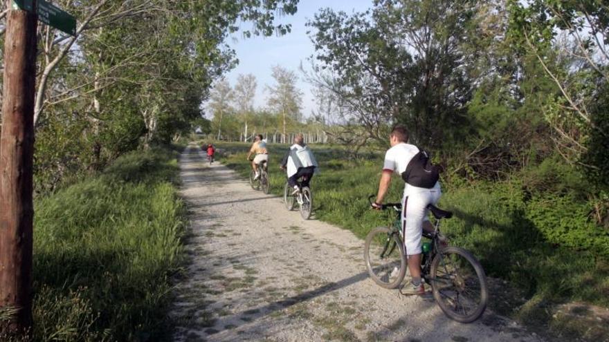 Una ruta en biciclet aper un espai natural, els Aiguamolls de l&#039;Empordà.