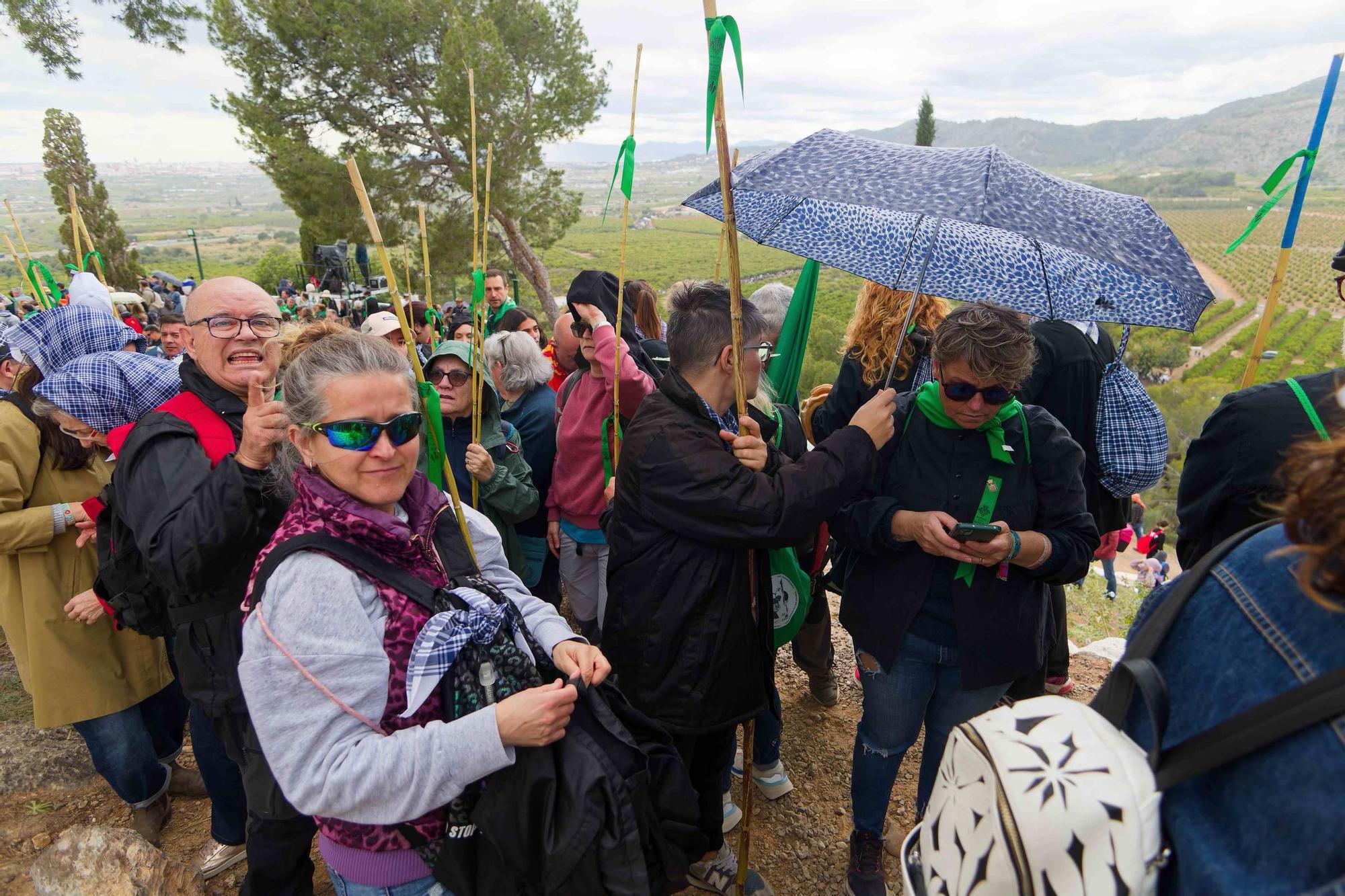 Las mejores imágenes de la Romeria a la Magdalena