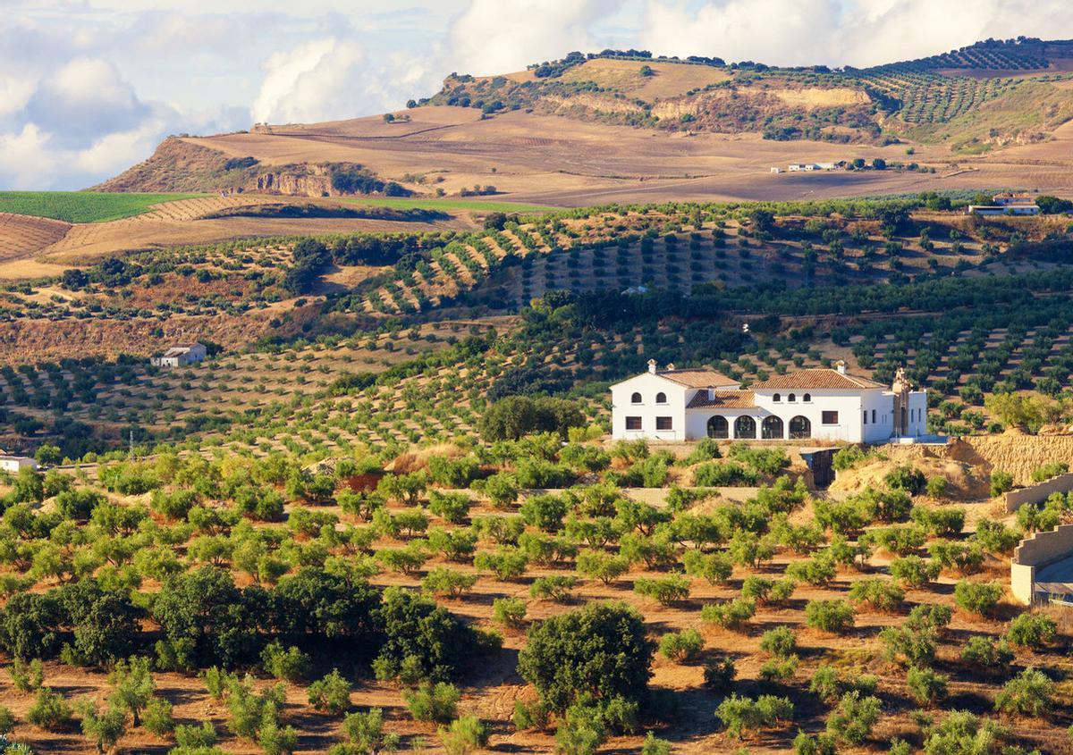 Vacaciones en una granja: cómo romper el estrés con una (auténtica) escapada rural