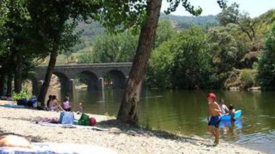 Medio Ambiente frena ocho piscinas naturales por daños a peces y libélulas