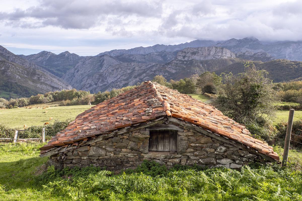El Parque Natural de Ponga