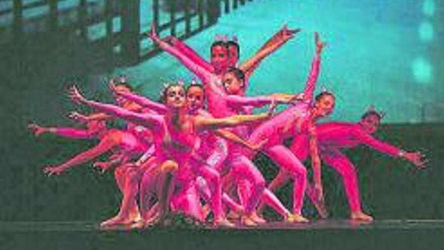 Més de mil persones es van deixar seduir pel Festival de Dansa de l’Escola de Dansa Solsona |