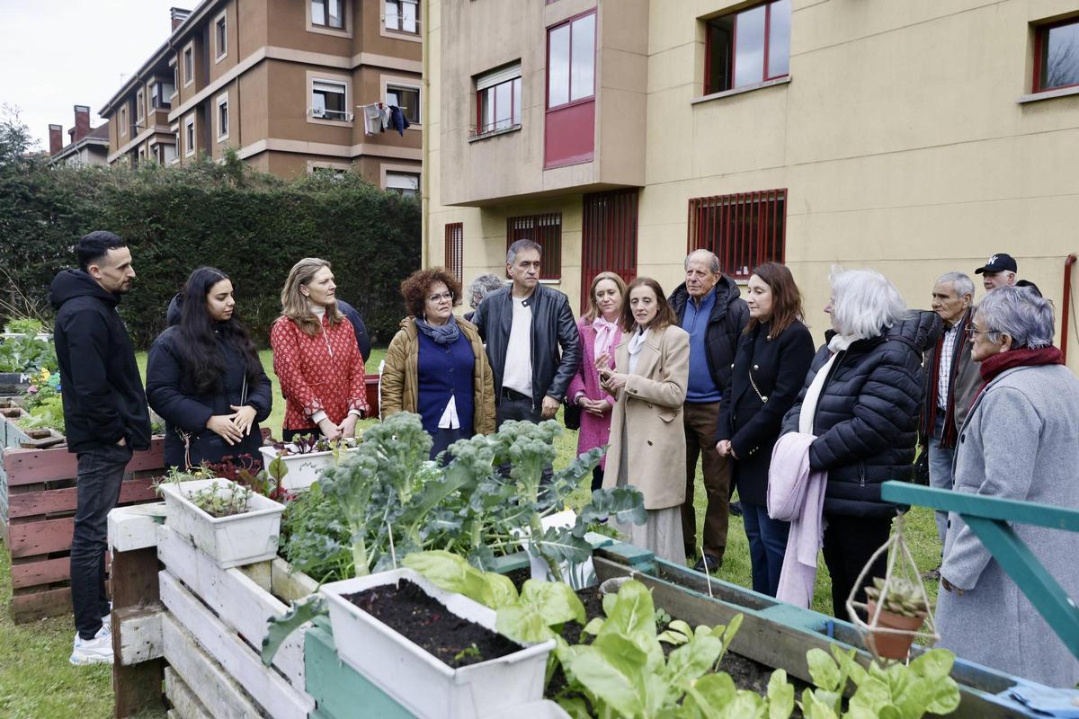 El nuevo huerto urbano de la zona oeste de Gijón, en imágenes
