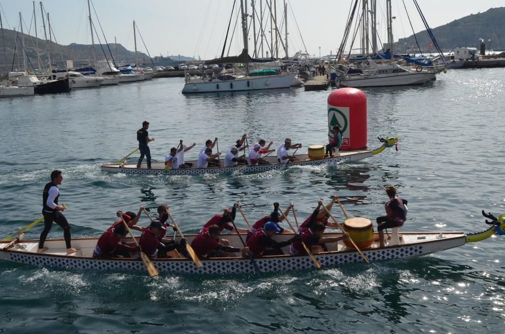 Dragon Boat de Cartagena