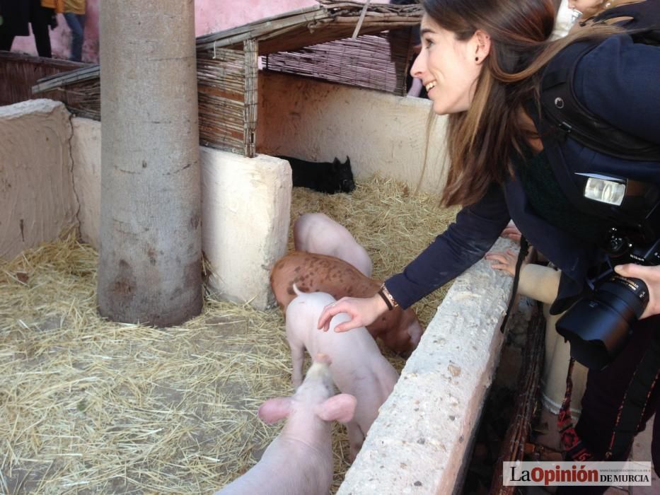 Belen Viviente de El Raal