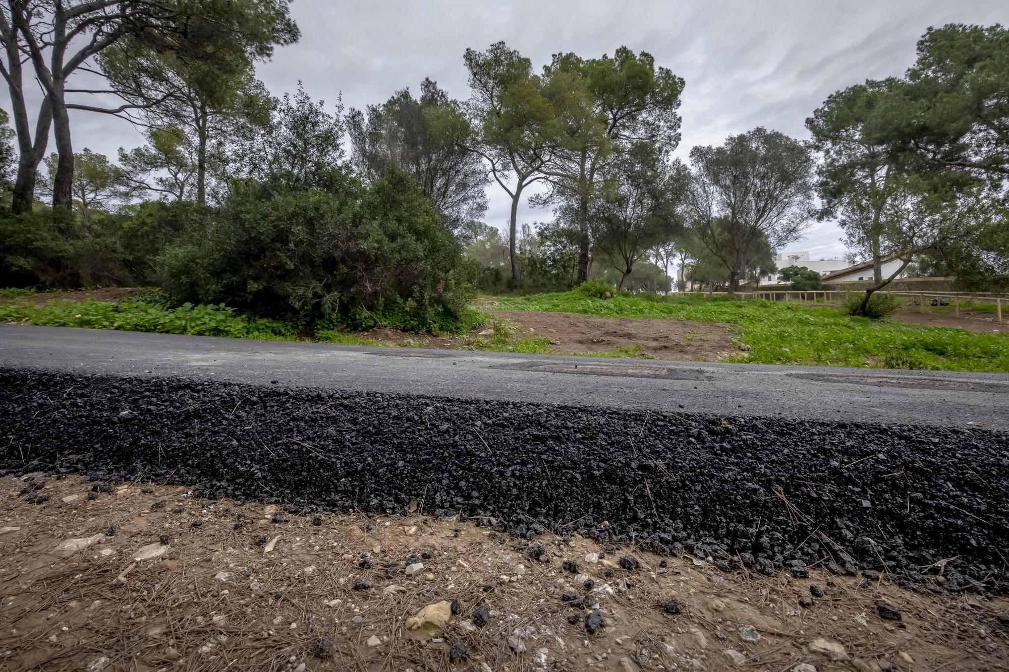 Las fotos del asfaltado del bosque de Bellver que indigna a ciudadanos y ecologistas