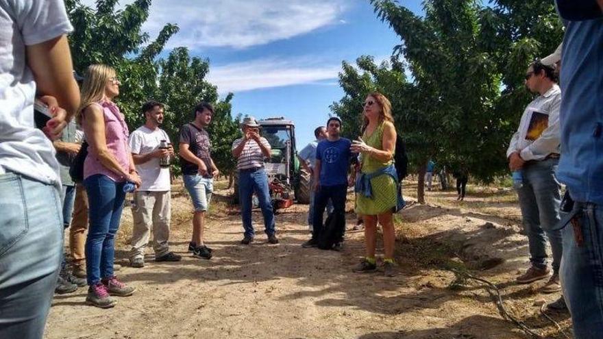 El CITA da a conocer sus variedades de almendro en Argentina