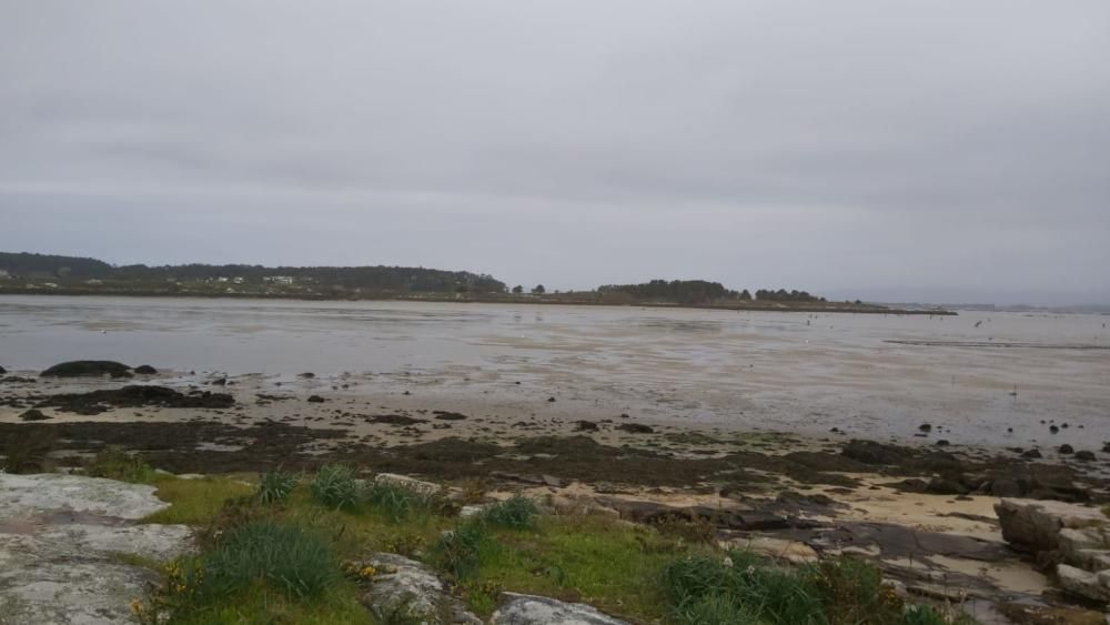 "Mareas vivas" en Galicia.