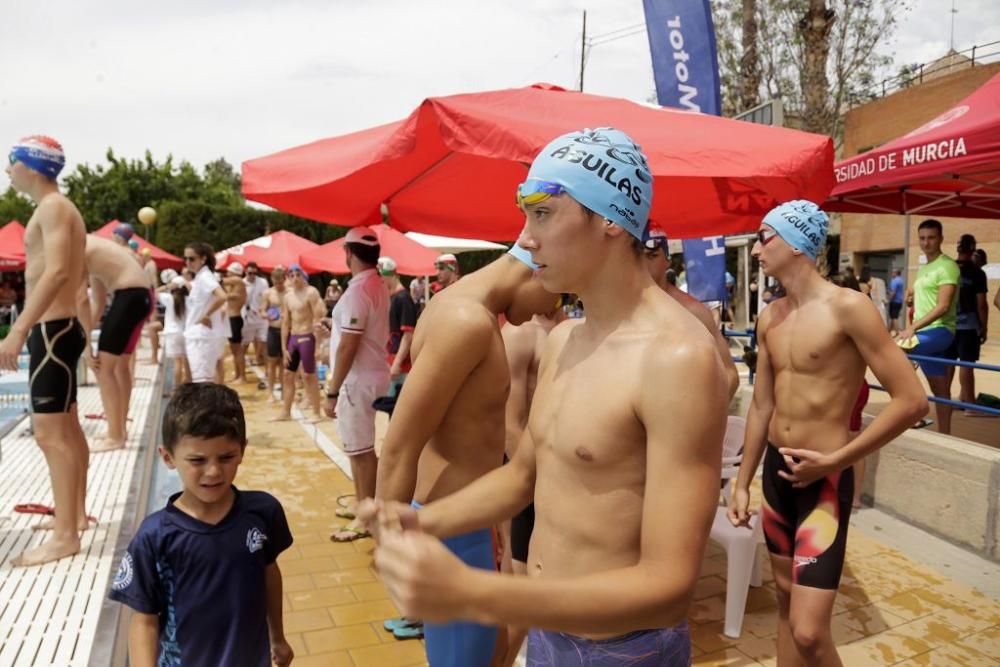 Campeonato de natación en Murcia Parque