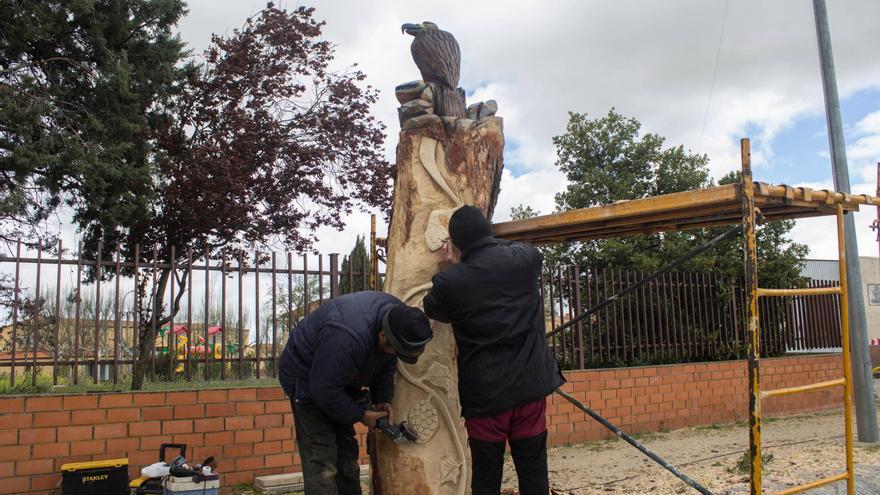 GALERÍA | El árbol de Moraleja que se convirtió en estatua