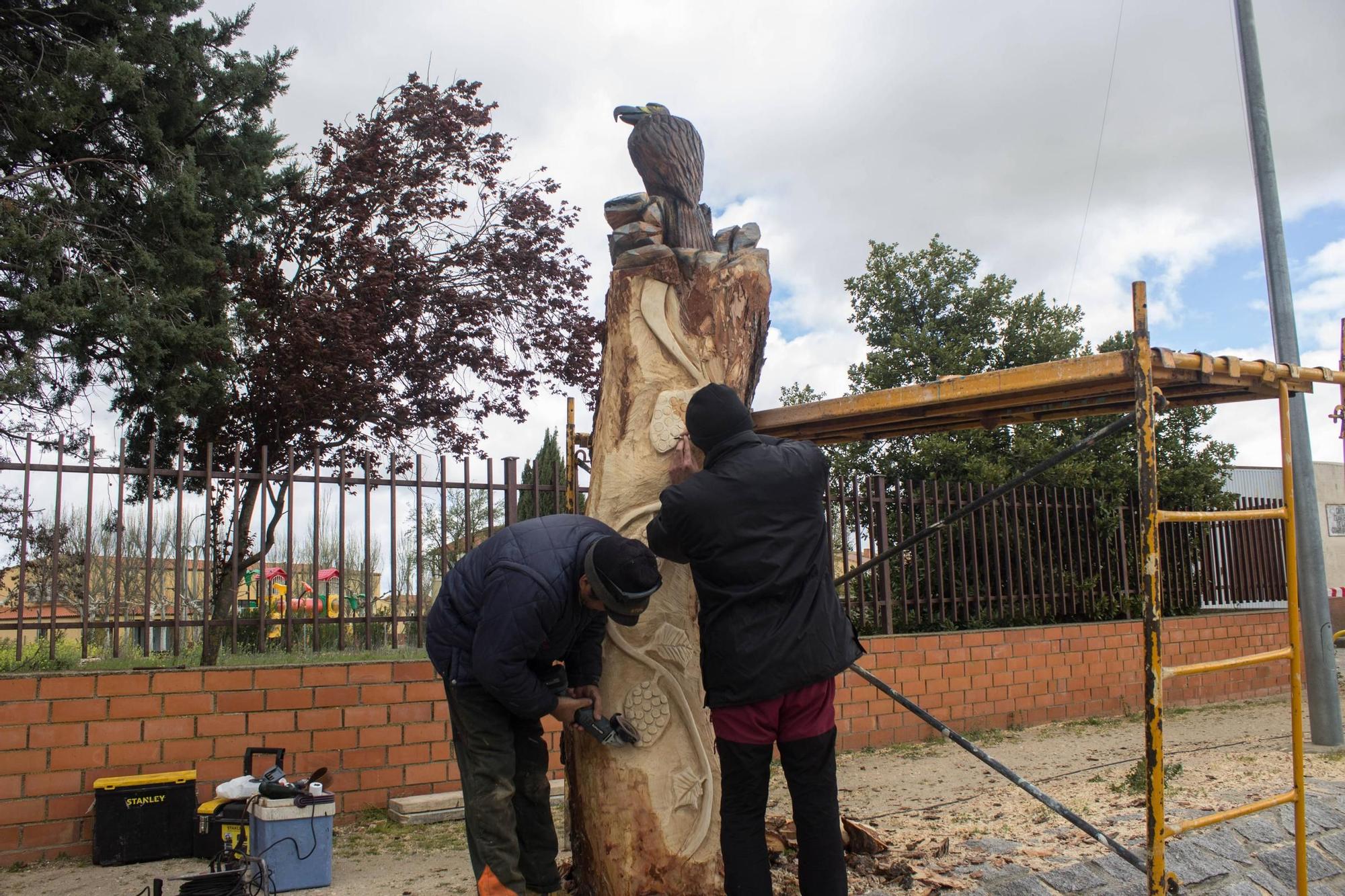 GALERÍA | El árbol de Moraleja que se convirtió en estatua