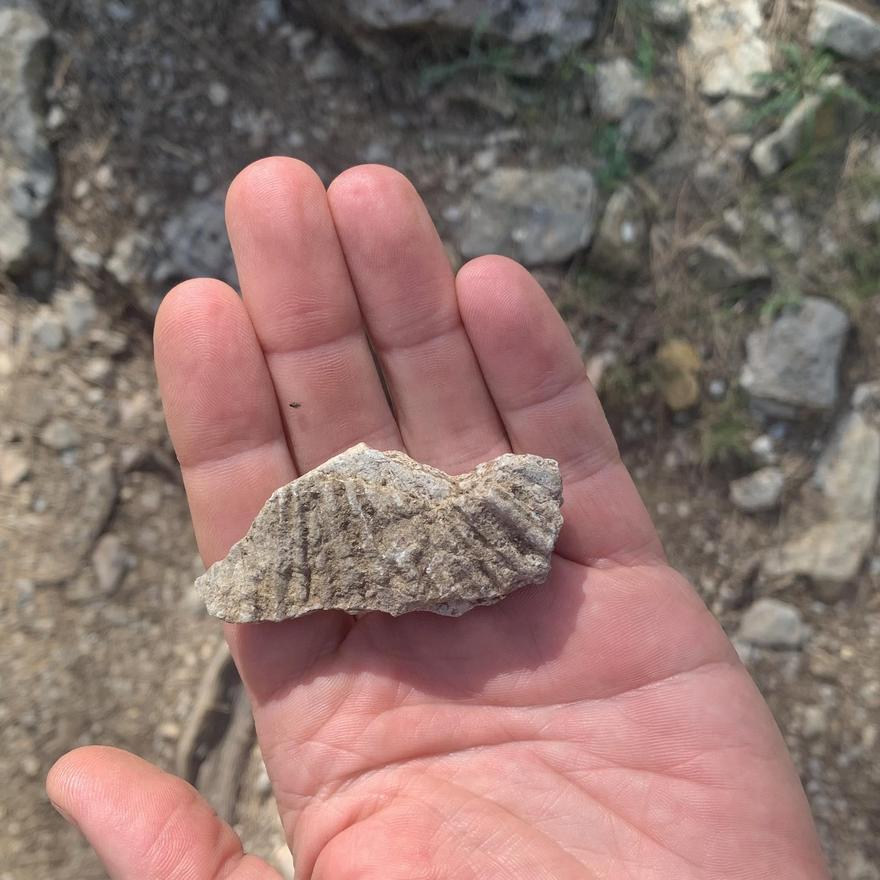 Un amonite entre las piedras de la senda del Penyagolosa