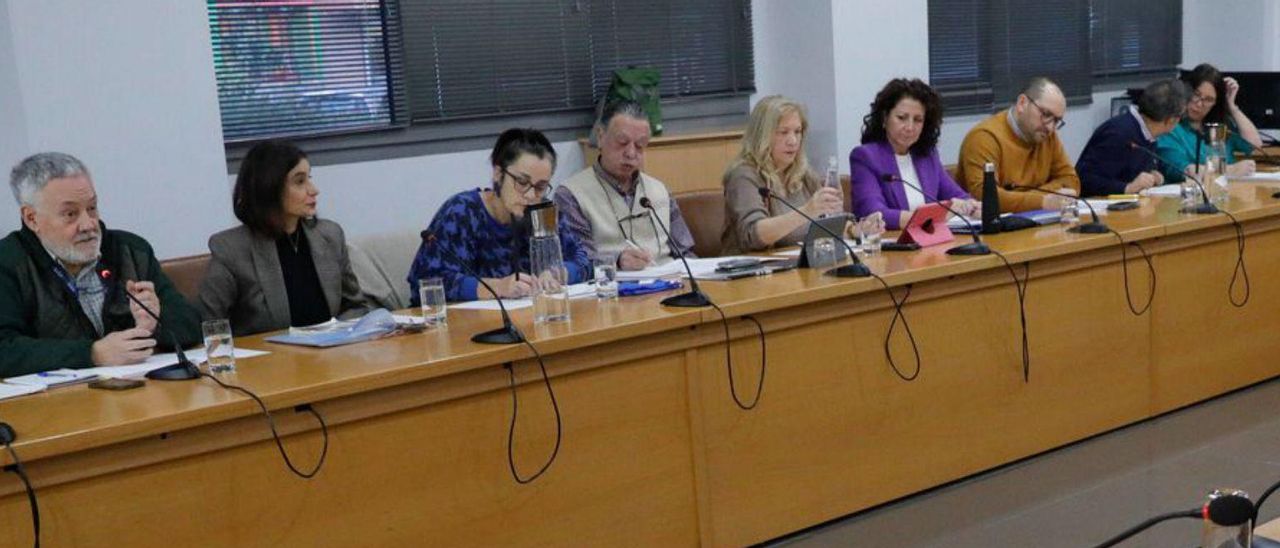 Un pasado Pleno en Castrillón. | LNE