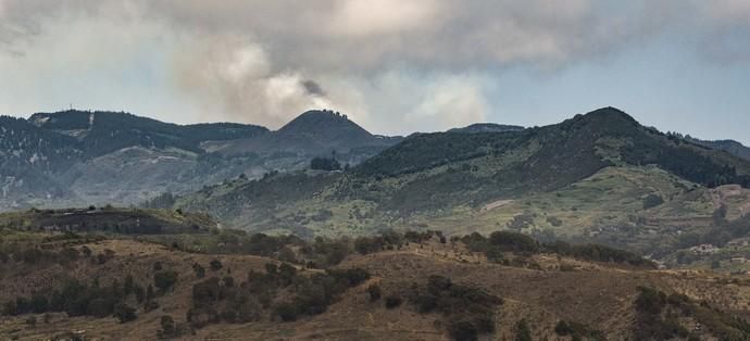 LAS PALMAS DE GRAN CANARIA. Vista incendio en la cumbre  | 11/08/2019 | Fotógrafo: José Pérez Curbelo