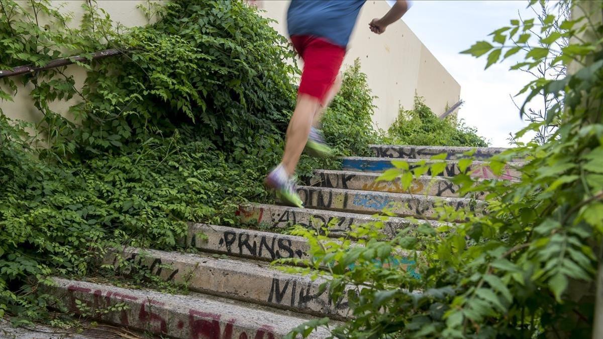 Las plantas cubren las escaleras e este paso para peatones en Barcelona