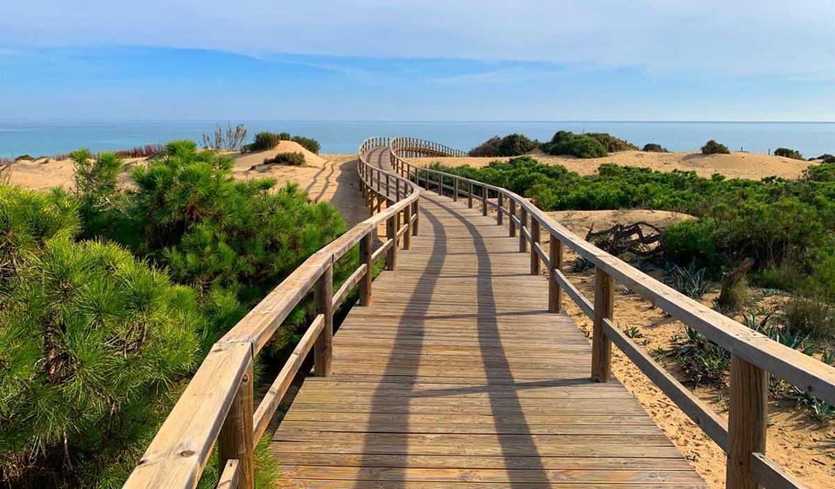 Paisaje marcado por su sistema dunar y por la extensa pinada situada a orillas del mar.